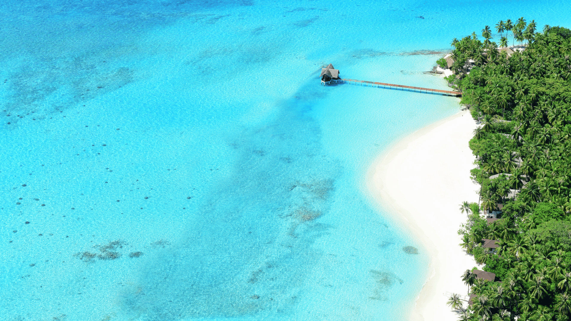 Beach Holidays