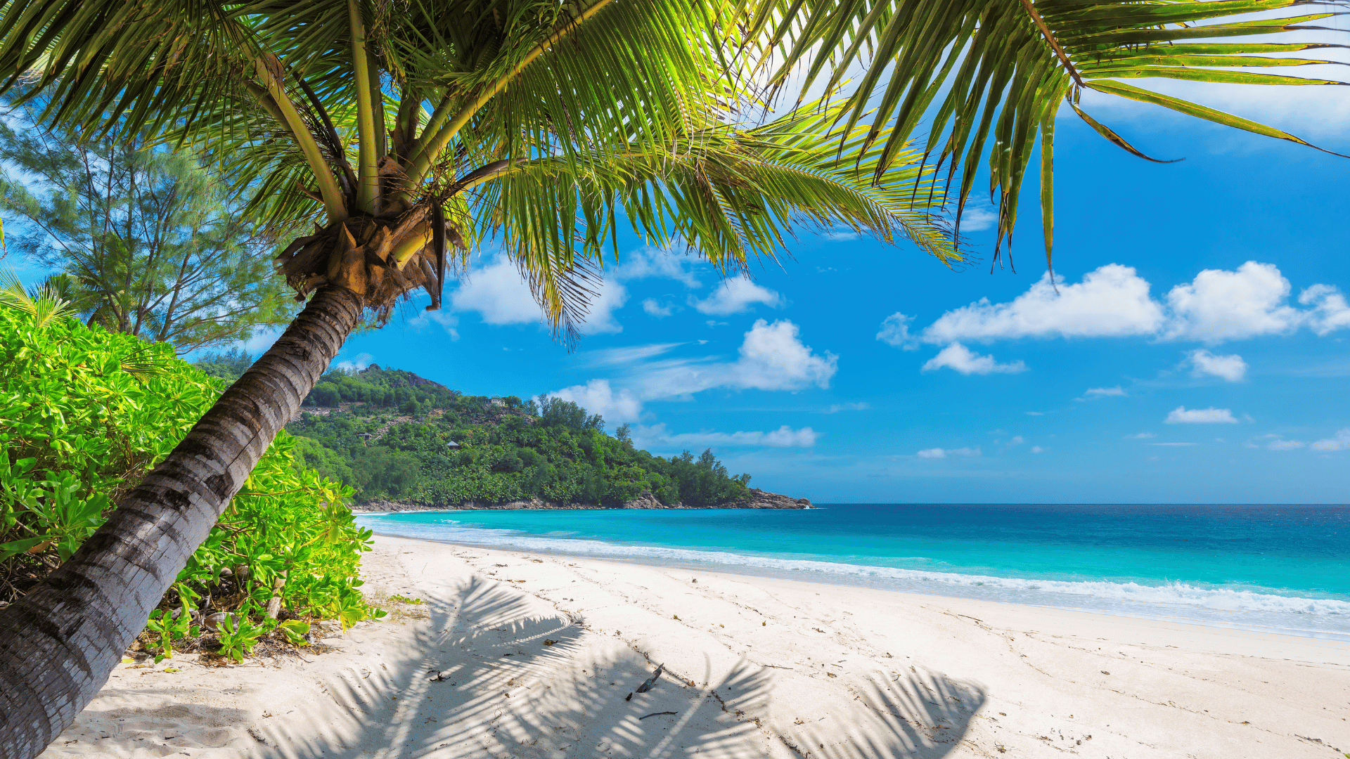 Long Haul Holidays