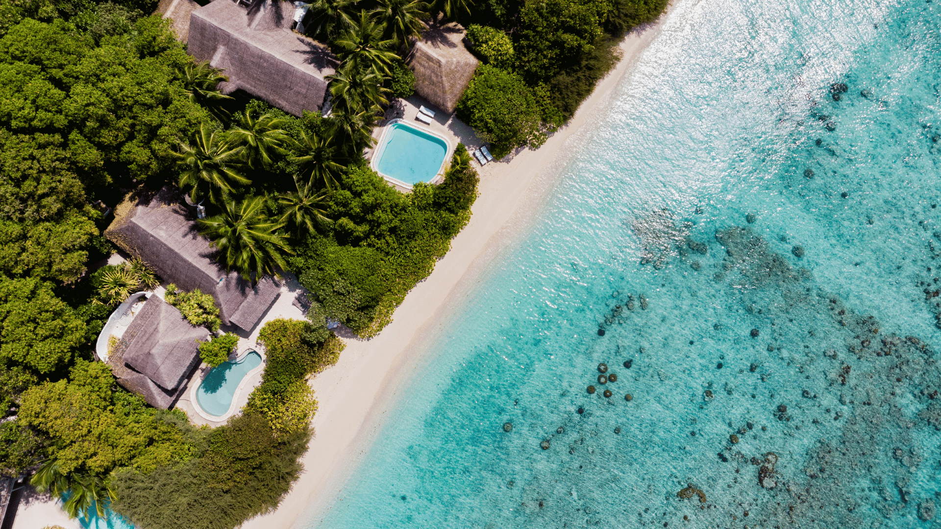 Luxury Holidays