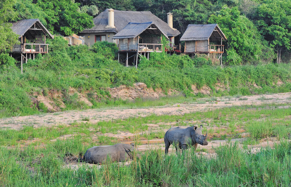 Jock Safari Lodge