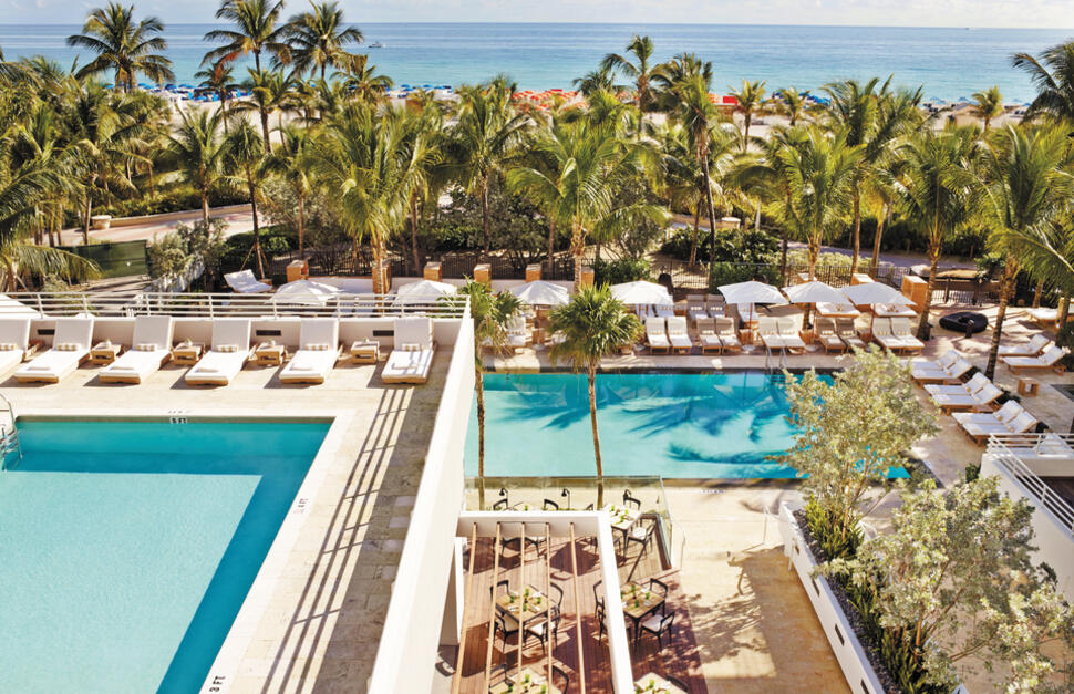 Royal Palm
