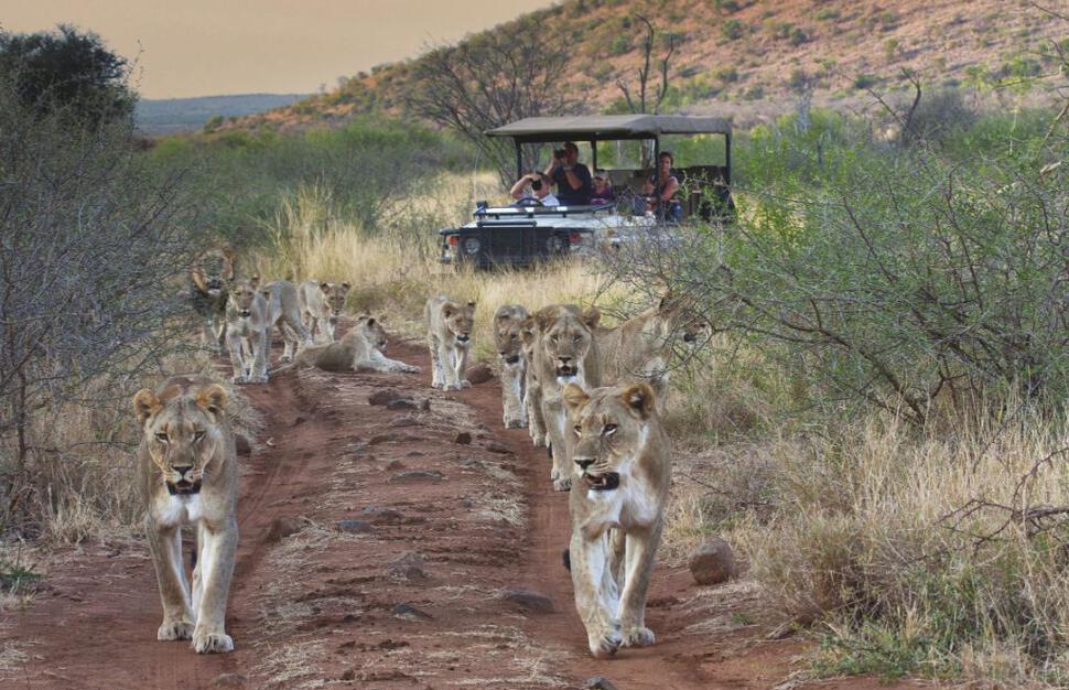 Tuningi Safari Lodge